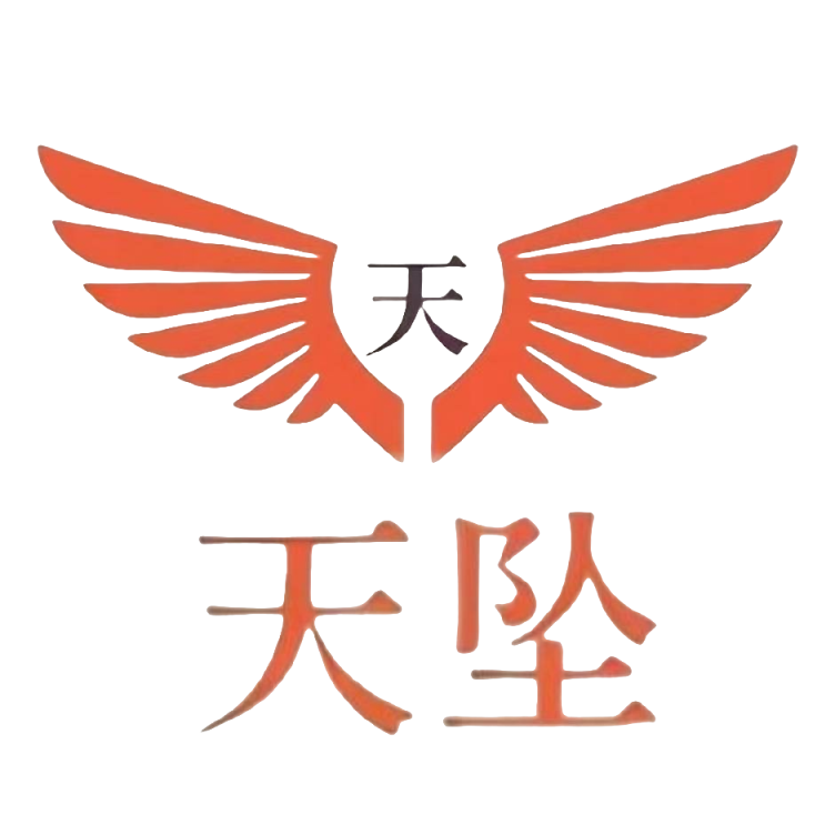 天坠的个人头像